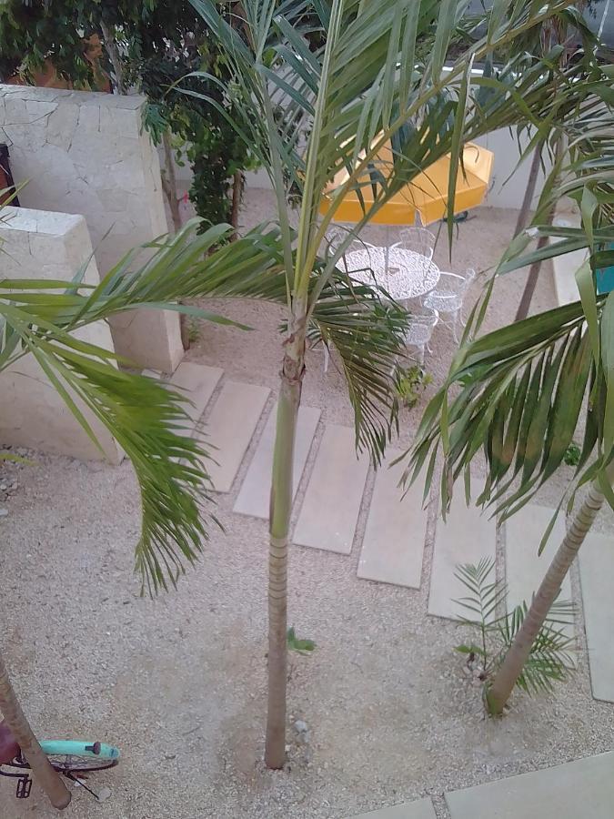 Posada Tumben Ka'A Tulum Pueblo Buitenkant foto